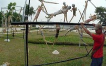 Có một Festival của giới tạo hình