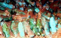 Phát hiện ngôi mộ cổ 2500 tuổi ở Giza