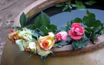Đà Lạt: Giảm giá bán hoa cho người dân