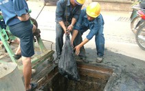 Những công trình thoát nước "kỳ lạ"