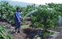 Chàng "thủy xá" dưới chân núi Chư Krăng