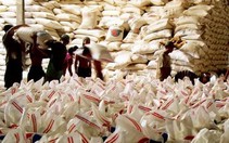 VN vượt Ấn Độ và Mỹ về xuất khẩu gạo