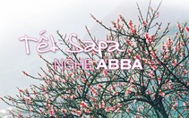 Tết Sapa nghe ABBA