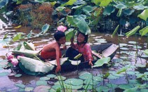 Những lời chúc xuân 29 Tết