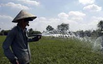 Lâm Đồng: cơn mưa giải hạn!