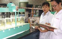 Sông "dơ" hơn, giá nước sinh hoạt càng cao?