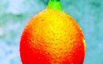 Bài thuốc từ quả gấc