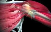 Khám phá cơ chế hoạt động của lực cơ