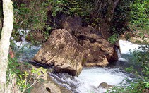Đêm nghe tiếng suối reo...