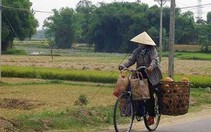 Tiết kiệm của mẹ