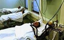 "Cúm lợn" có thể lây từ người sang người