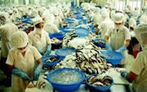 Xuất khẩu thuỷ sản sang Nga tăng mạnh