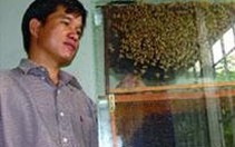 Khiêu vũ với bầy ong