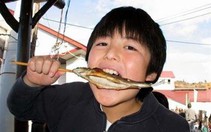 Ăn cá đều đặn làm chậm lại chứng sa sút trí tuệ