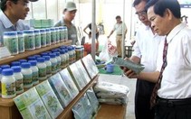 Khai mạc Lễ hội Ooc Om Boc Sóc Trăng 2005