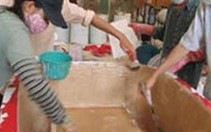 Đại học "dấn thân" - hiệu quả chưa cao, vì sao?