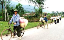 Muối... rong