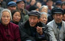 Phát thẻ chống đi lạc cho người già