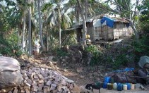 Gia đình "Robinson" trên hoang đảo