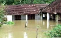 Ngập lụt ở thượng nguồn sông Đồng Nai