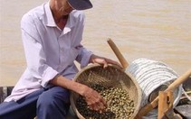 Khu bảo tồn ốc gạo