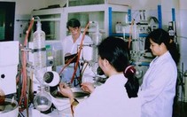 Dứa làm thực phẩm chữa bệnh