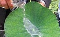 Những vật liệu "thông minh"