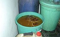 3 người tử vong sau khi uống rượu có thể do ngộ độc methanol