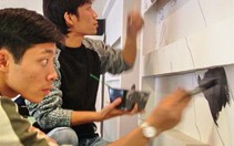 Dự án "vẽ trên tường, trên cột"