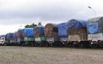 Gia Lai: giam xe chở mía đi tỉnh khác