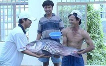 Giữ cá quí cho dòng Mekong