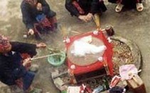 Triển lãm - hội chợ "Câu đối, hoa và rượu Tết": Tôn vinh những nét văn hóa đặc trưng