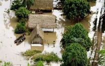 Lập quĩ bảo hiểm thiên tai