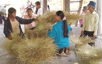 Dự án bảo tồn cỏ bàng nhận giải thưởng quốc tế