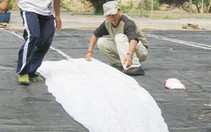 Rủ nhau đi học... nhảy dù