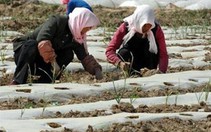 Trung Quốc: hàng trăm ngàn người thiếu nước uống