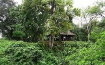 Một khu di tích bị bỏ quên