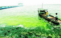 Trung Quốc: du lịch làm ô nhiễm sông hồ