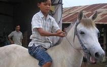 "Trường đào tạo" nài ngựa