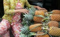Đời thương hồ (Kỳ 3): Chuyện tình sông nước