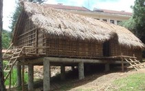 Phục dựng nhà sàn mẫu để bảo tồn