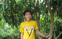 Triệu phú tuổi 17 với giống xoài lạ