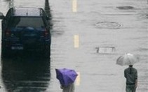 Bão Wipha đổ bộ vào Trung Quốc: hàng triệu người sơ tán