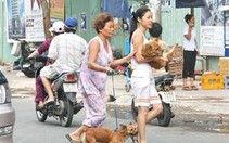 Sài Gòn  "cẩu tặc"