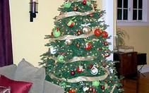 9 mẫu trang trí thông Noel cho nhà bạn