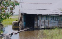 Nước ngập, ruộng vườn bỏ hoang vì khu tái định cư