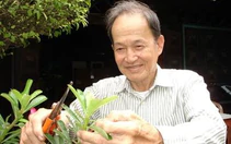 Một lần phạm kỷ luật