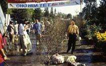 Tết Việt Nam qua góc nhìn của nhà nhiếp ảnh Eva Lindskog