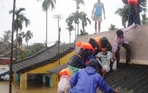 Con người đang hủy hoại Trái đất