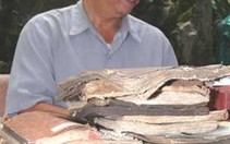 Trong thế giới sách cũ (Kỳ 4): Săn lùng "sách độc"
